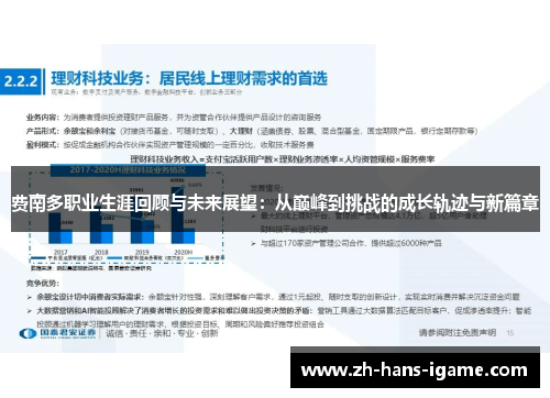 费南多职业生涯回顾与未来展望：从巅峰到挑战的成长轨迹与新篇章