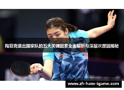 陶菲克退出国家队的五大关键因素全面解析与深层次原因揭秘