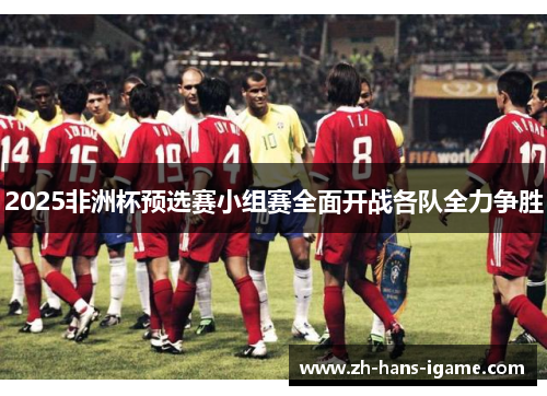 2025非洲杯预选赛小组赛全面开战各队全力争胜