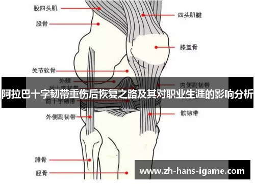 阿拉巴十字韧带重伤后恢复之路及其对职业生涯的影响分析