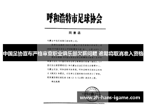 中国足协宣布严格审查职业俱乐部欠薪问题 逾期将取消准入资格